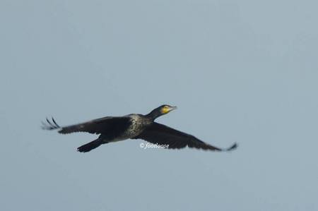 20101031_028.jpg