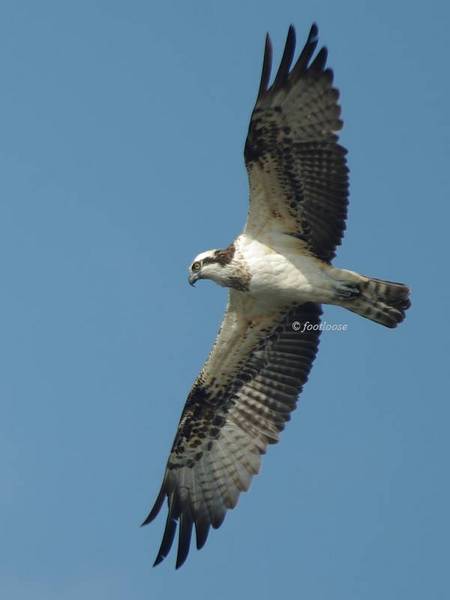 20101031_251.jpg