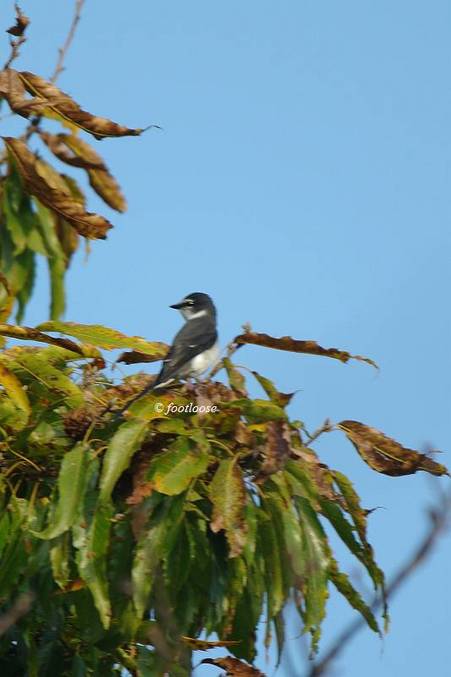 20101126_027.jpg