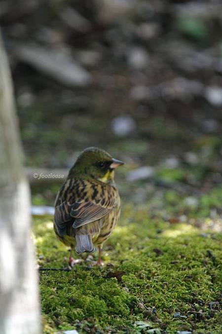 20101126_115.jpg