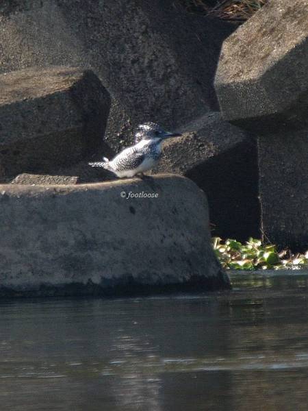 20101127_135.jpg