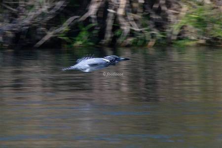 20101127_151x.jpg