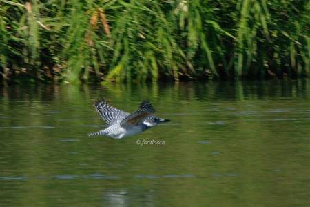 20101127_152x.jpg