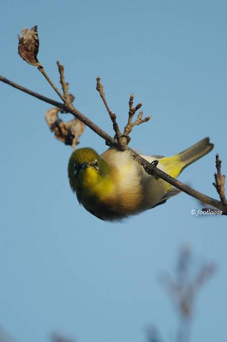 20101129_009.jpg