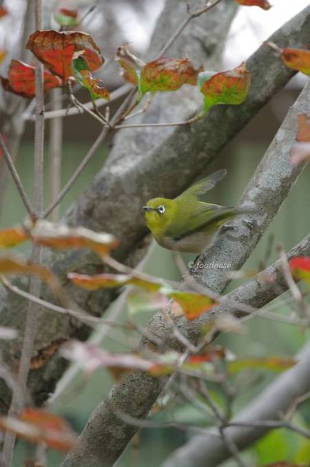 20101130_013.jpg