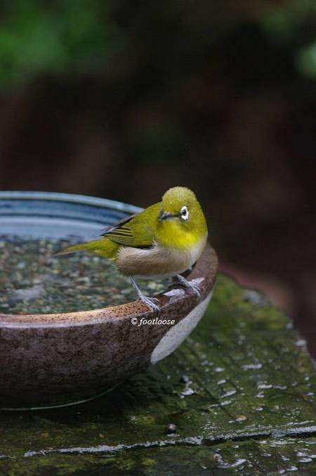 20101130_206.jpg