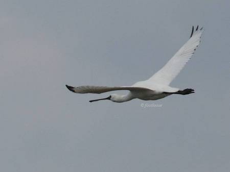 20101225_306a.jpg