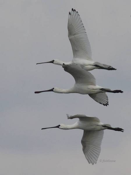 20101225_312.jpg