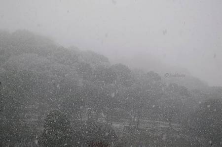 20101226_005.jpg
