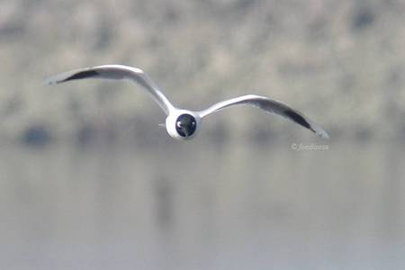 2011-02-27_280.jpg
