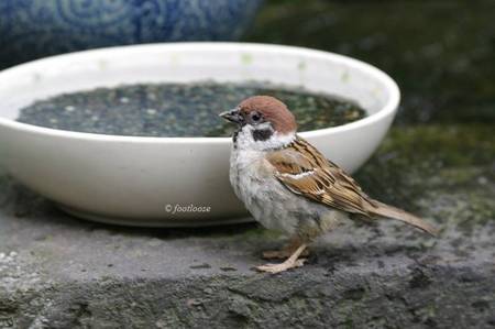 2011-04-22_099.jpg