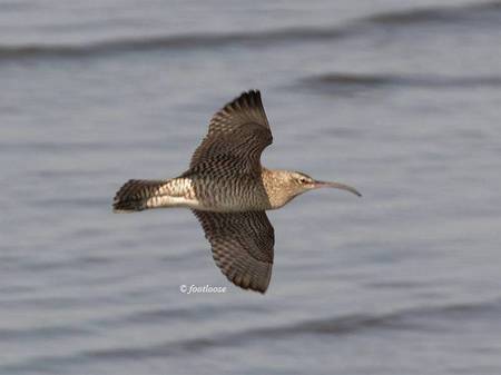 2011-04-29_363x.jpg