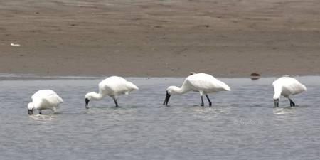 2011-05-05_317.jpg