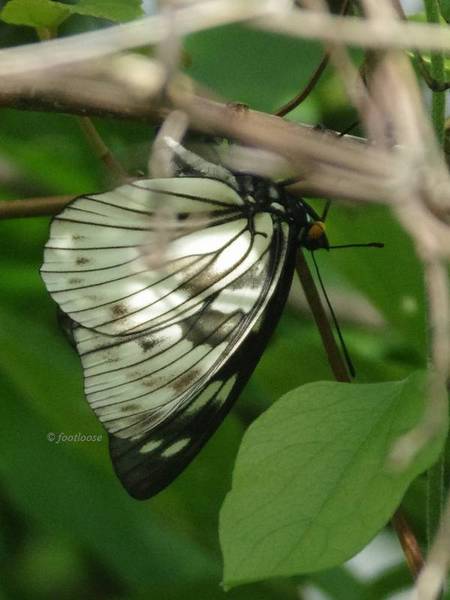 2011-05-22_076.jpg