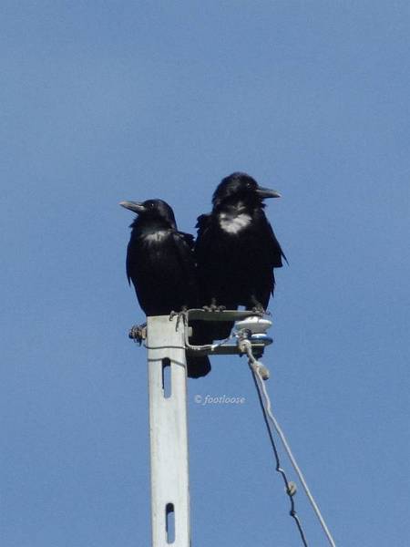 2011-05-25_050.jpg