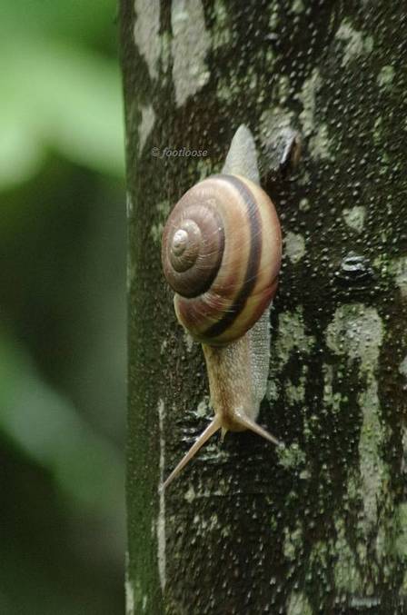 2011-05-26_011.jpg