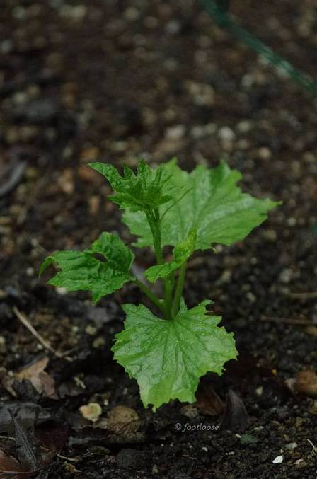 2011-05-28_014.jpg