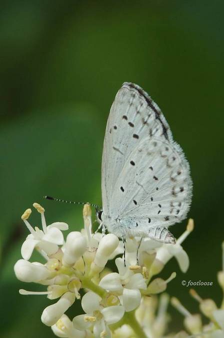 2011-05-30_117.jpg
