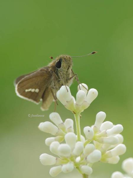 2011-05-30_181.jpg