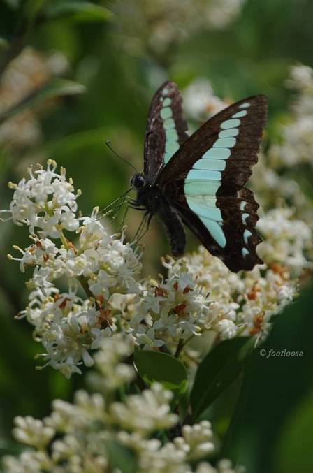 2011-05-31_298.jpg