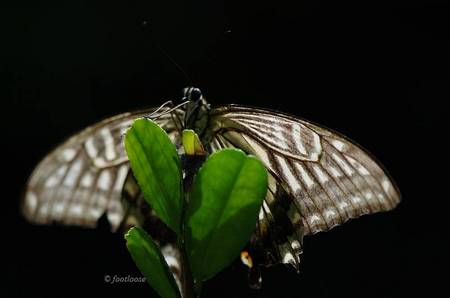 2011-06-30_058.jpg