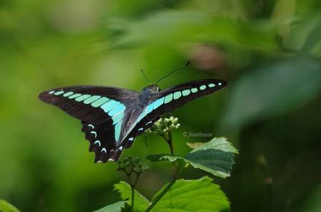 2011-07-16_482.jpg