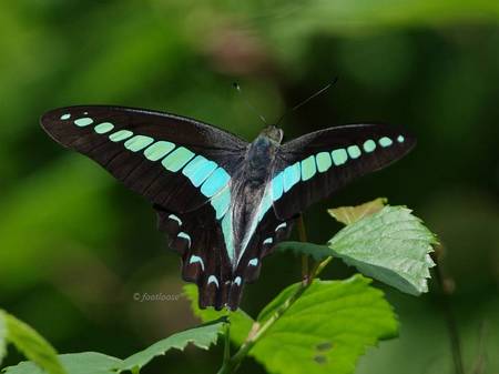 2011-07-16_487.jpg