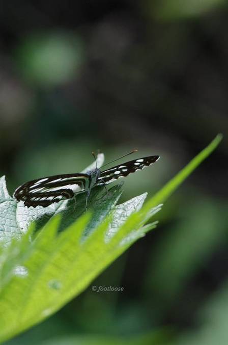 2011-07-16_714.jpg