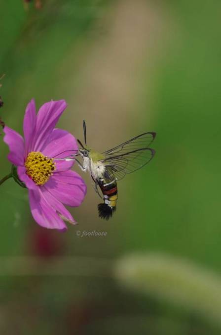 2011-07-24_083.jpg