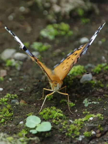 2011-07-28_025.jpg