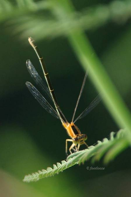 2011-07-31_266.jpg