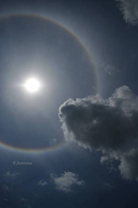 2011-07-31_293.jpg