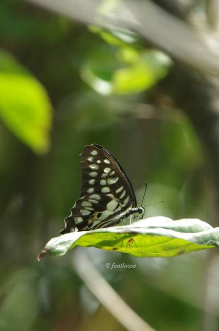 2011-08-11_081.jpg