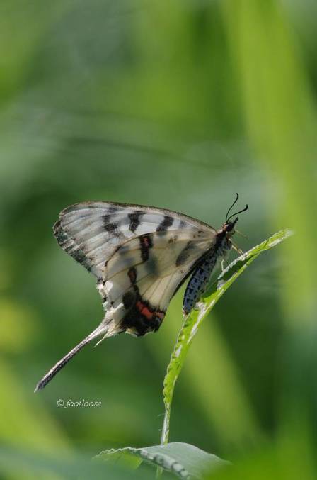 2011-08-27_049.jpg