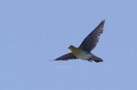 2011-08-27_219.jpg