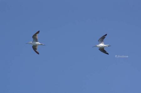2011-08-28_503.jpg