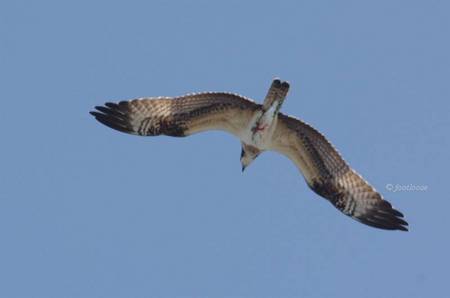 2011-08-28_639.jpg