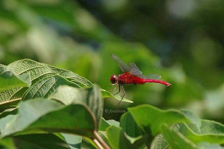 2011-08-30_147.jpg