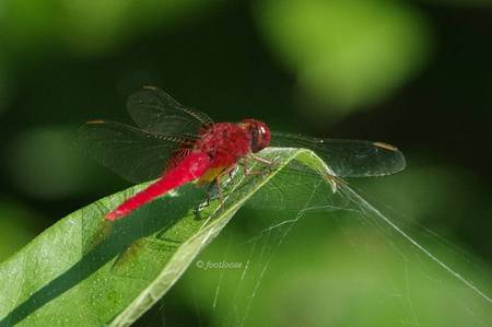 2011-08-30_155.jpg
