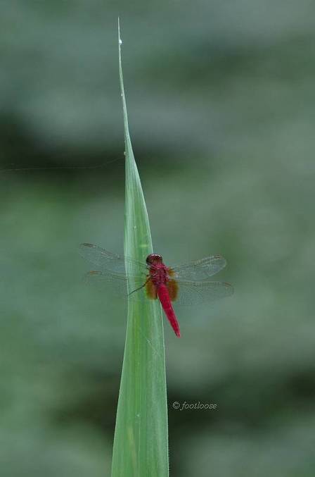 2011-08-30_217.jpg
