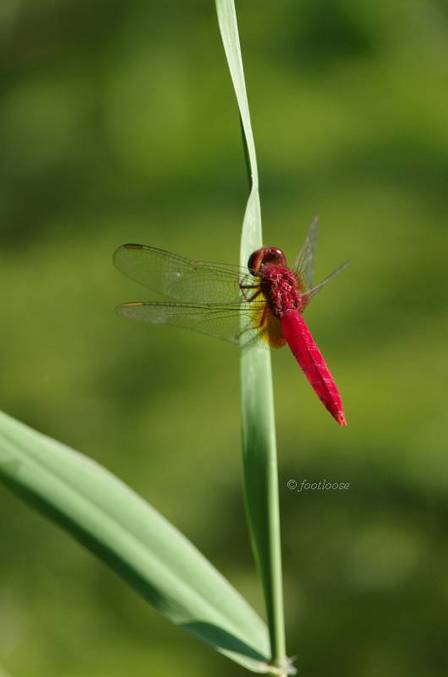 2011-08-30_267.jpg