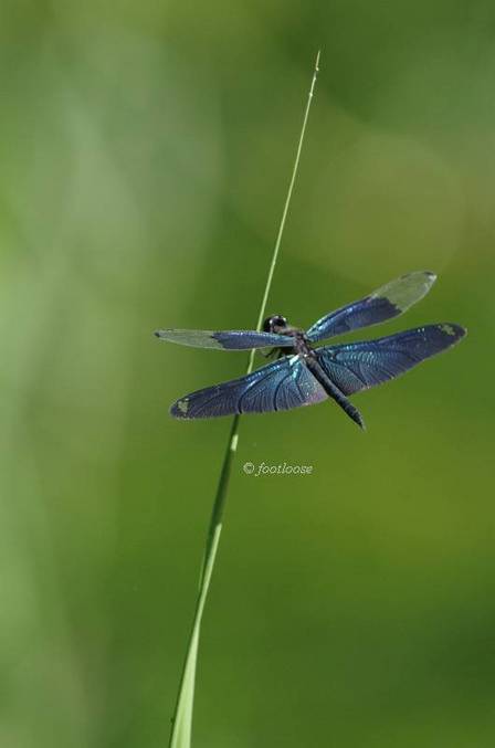 2011-08-30_310.jpg