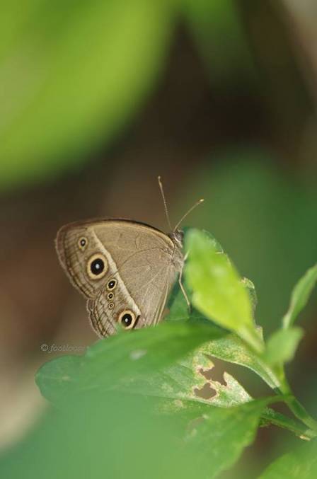 2011-08-31_022.jpg