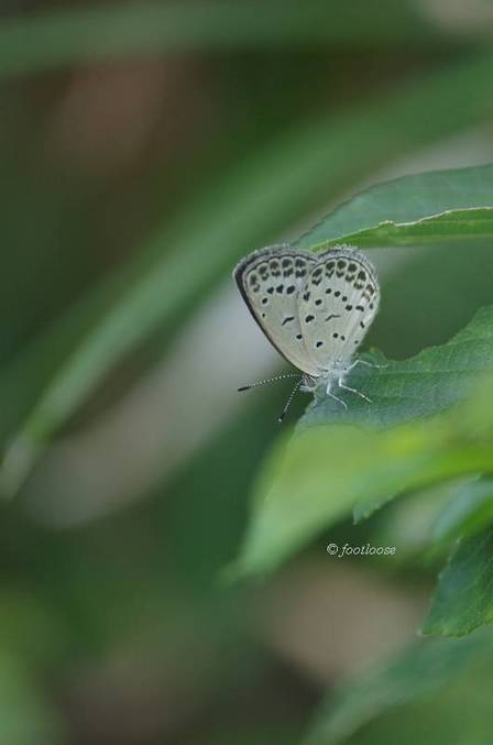 2011-08-31_122.jpg