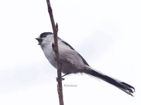 2011-09-26_040x.jpg
