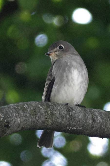 2011-09-28_042.jpg