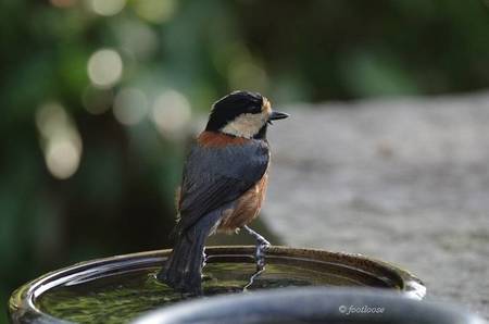 2011-09-28_366.jpg