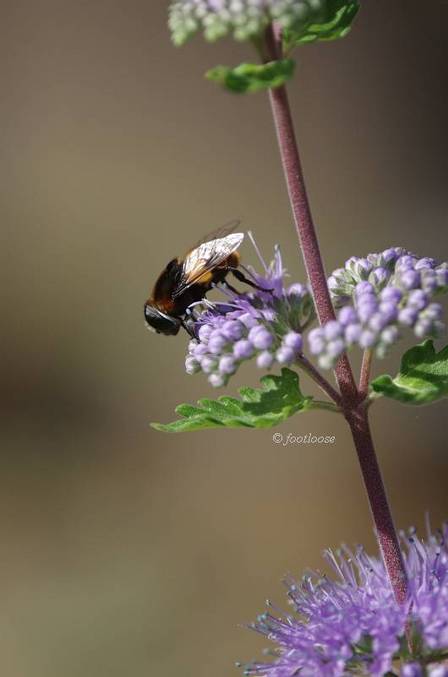 2011-09-29_029.jpg