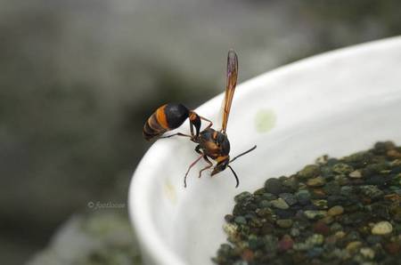 2011-09-29_071.jpg