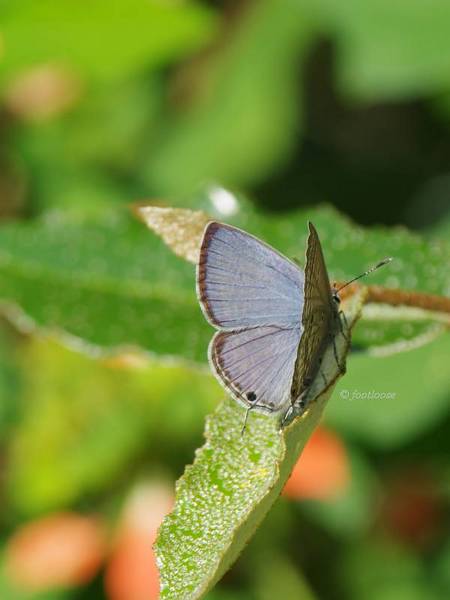 2011-10-19_040.jpg